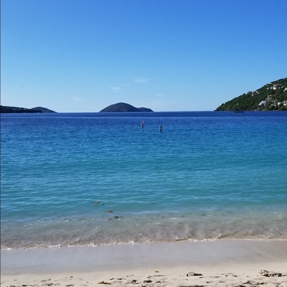 Meet your Posher, Kate - Picture 1 of 1